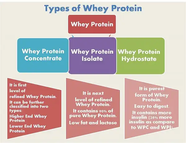 Đánh giá 4 loại Whey Protein có mặt trên thị trường