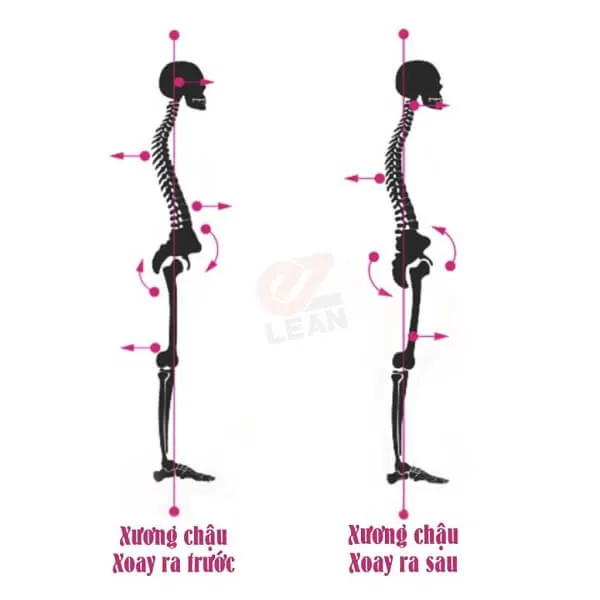 Đánh giá tư thế từ xương chậu và bàn chân