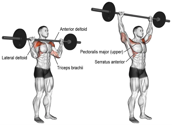 Overhead Press là bài tập vừa thử sức mạnh vừa là 1 trong 3 bài quan trọng nhất khi tập gym thể hình