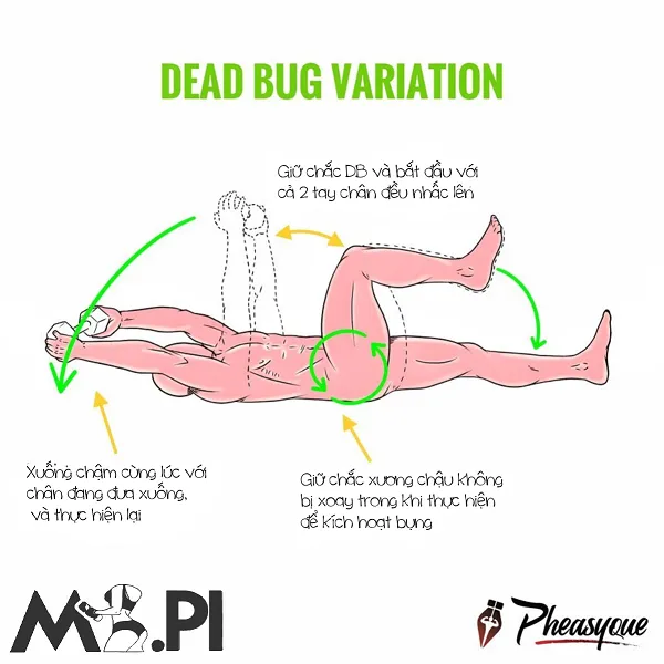 Dead Bug Variation thì quá quen thuộc với các bạn nữ Dead Bug Variation thì quá quen thuộc với các bạn nữ