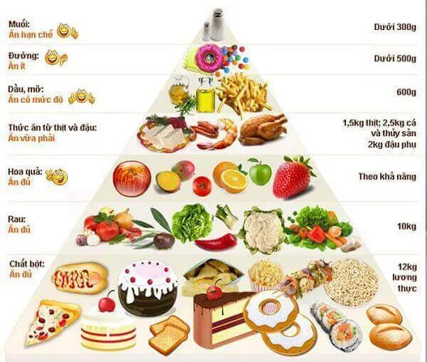 Dinh dưỡng dành cho người mới tập gym thể hình Dinh dưỡng dành cho người mới tập gym thể hình