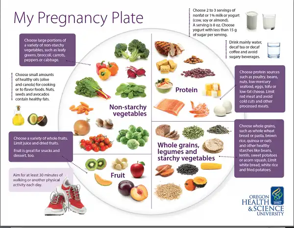 Dinh dưỡng khi mang thai rất quan trọng với mẹ bầu