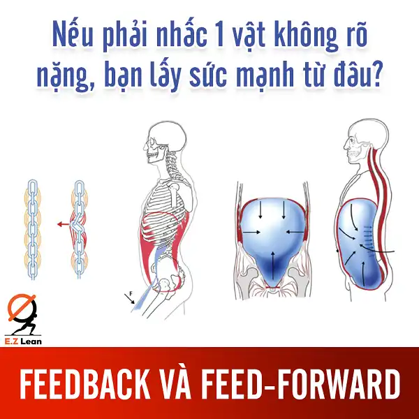Đừng bao giờ lơi là việc tập luyện cho vùng Core
