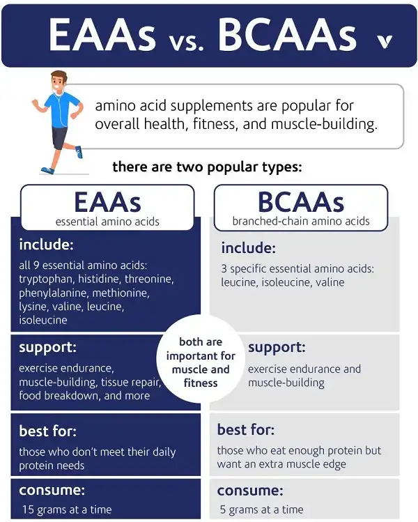 So sánh giữa EAA và BCAA