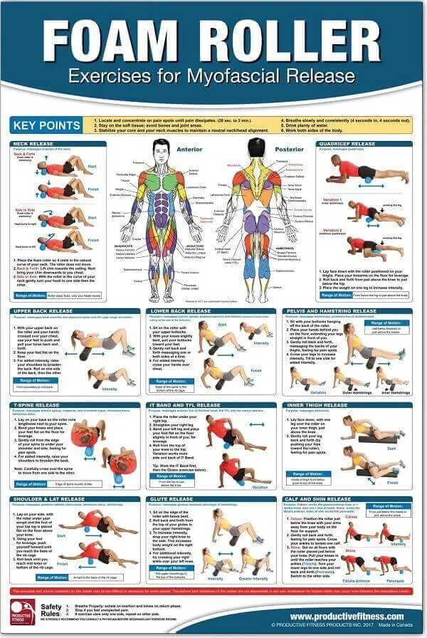 Foam rolling là gì mà vì sao nhiều người dùng Foam rolling là gì mà vì sao nhiều người dùng