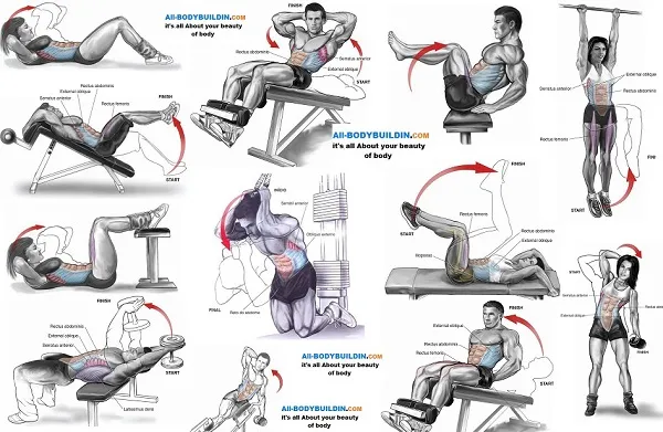 Gập bụng 100 cái mỗi ngày sẽ có 6 múi nếu lượng mỡ toàn thân giảm đều Gập bụng 100 cái mỗi ngày sẽ có 6 múi nếu lượng mỡ toàn thân giảm đều