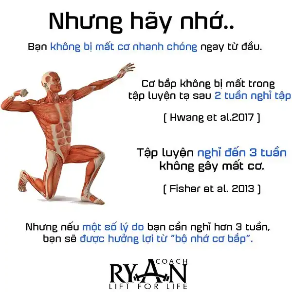 Hạt nhân cơ bắp sẽ giúp bạn nhanh chóng lấy lại cơ bắp Hạt nhân cơ bắp sẽ giúp bạn nhanh chóng lấy lại cơ bắp
