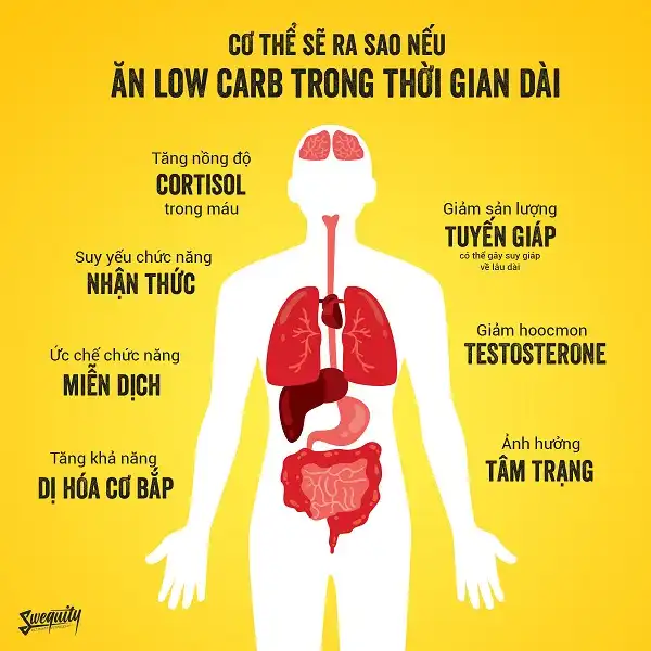 Hậu quả khi ăn Lowcarb trong thời gian dài Hậu quả khi ăn Lowcarb trong thời gian dài