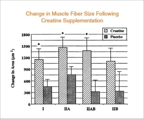 Hiệu quả tập luyện khi dùng Creatine tốt hơn rõ rệt Hiệu quả tập luyện khi dùng Creatine tốt hơn rõ rệt