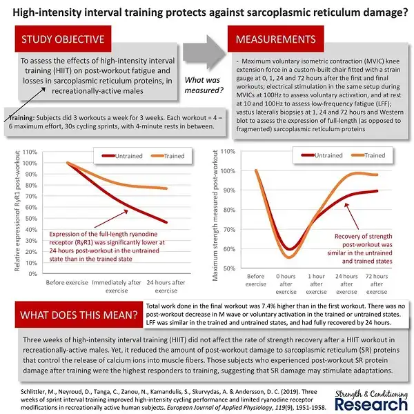 HIIT không ảnh hưởng tới tổn thương cơ bắp HIIT không ảnh hưởng tới tổn thương cơ bắp