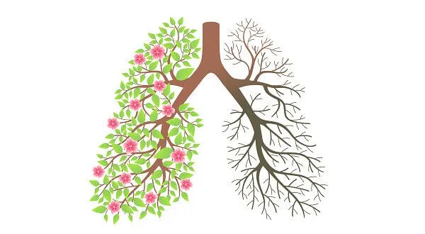 Hít thở phù hợp sẽ tốt cho sức khỏe Hít thở phù hợp sẽ tốt cho sức khỏe
