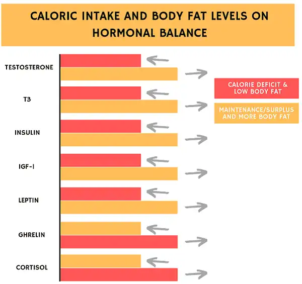 Tất cả hormones đều thay đổi khi chế độ ăn uống thay đổi