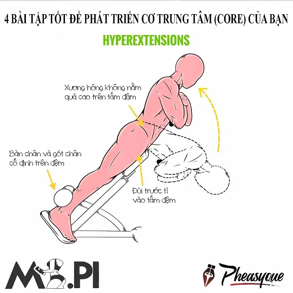 Hyperextensions là bài tập thông dụng nhất để tập Core Hyperextensions là bài tập thông dụng nhất để tập Core