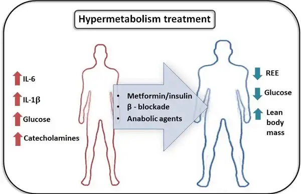 Hypermetabolism - Siêu chuyển hóa