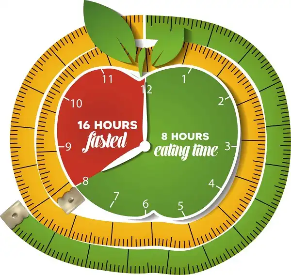 Intermittent Fasting sẽ chia thời gian ăn làm 2 giai đoạn, thường là 8 tiếng ăn 16 tiếng nhịn