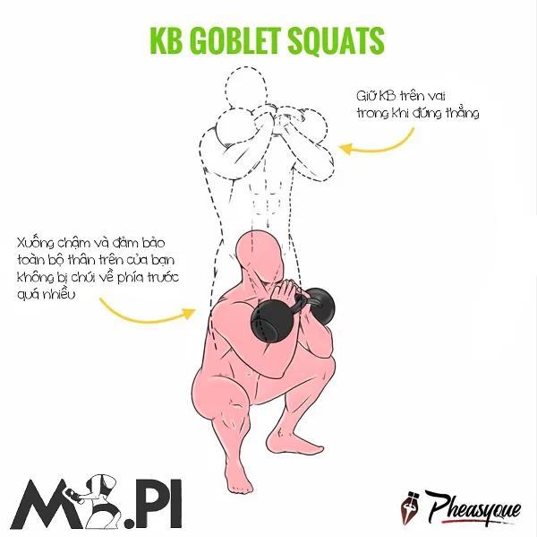 KB Goblet Squats ít thông dụng do tạ Kettlebell hay ít gặp KB Goblet Squats ít thông dụng do tạ Kettlebell hay ít gặp