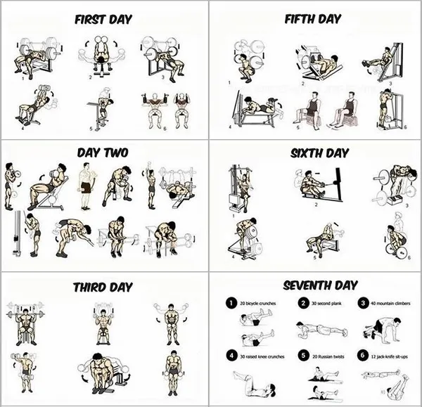 Phải có kế hoạch tập luyện nghiêm túc