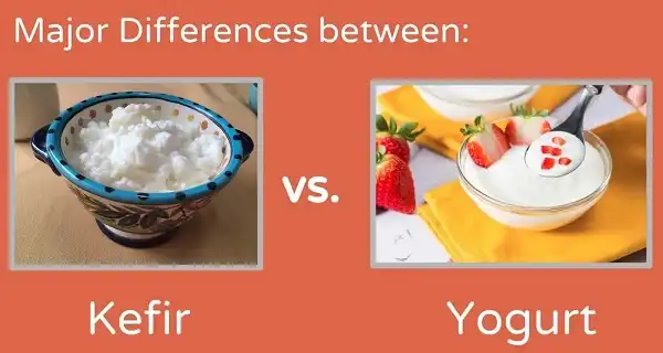 Kefir hay Yogurt tốt hơn cho bạn Kefir hay Yogurt tốt hơn cho bạn