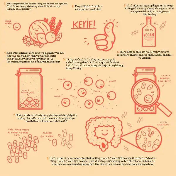 Kefir là loại thức uống lên men được làm sữa bò hoặc sữa dê Kefir là loại thức uống lên men được làm sữa bò hoặc sữa dê