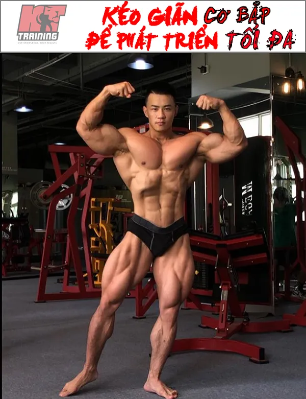 Kéo giãn cơ bắp để phát triển tối đa Kéo giãn cơ bắp để phát triển tối đa