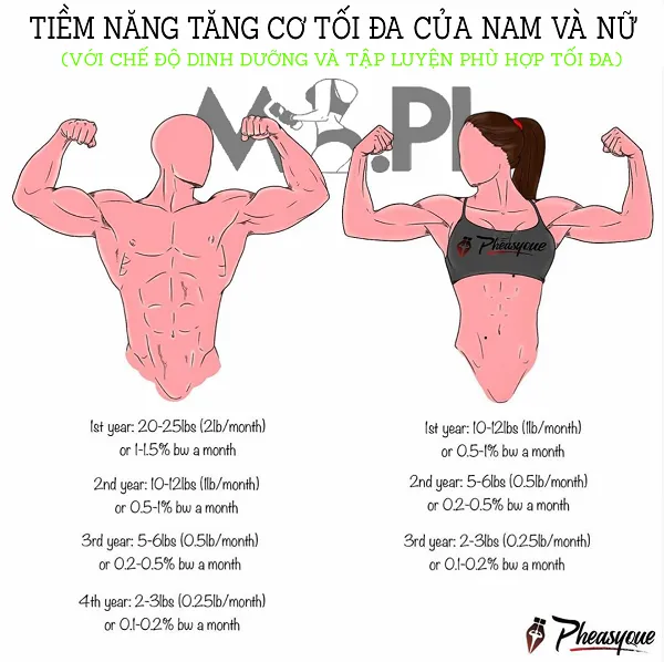 Khả năng tăng cơ của bạn tới đâu Khả năng tăng cơ của bạn tới đâu