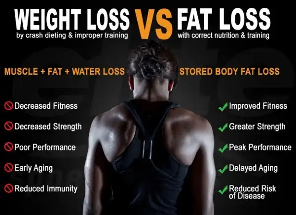 Sự khác biệt giữa giảm cân và giảm mỡ