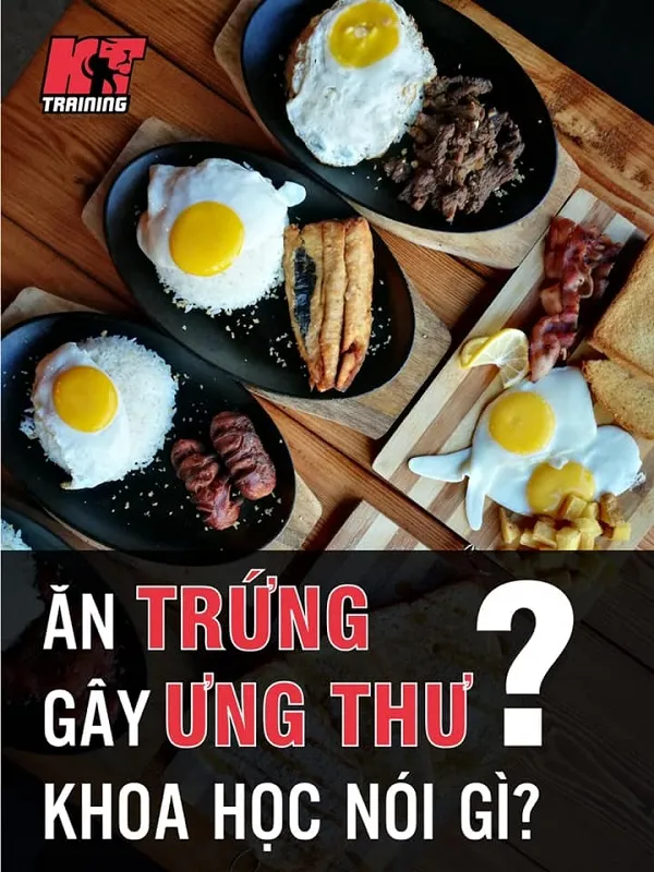 Khoa học nói gì về việc ăn trứng gây ung thư Khoa học nói gì về việc ăn trứng gây ung thư