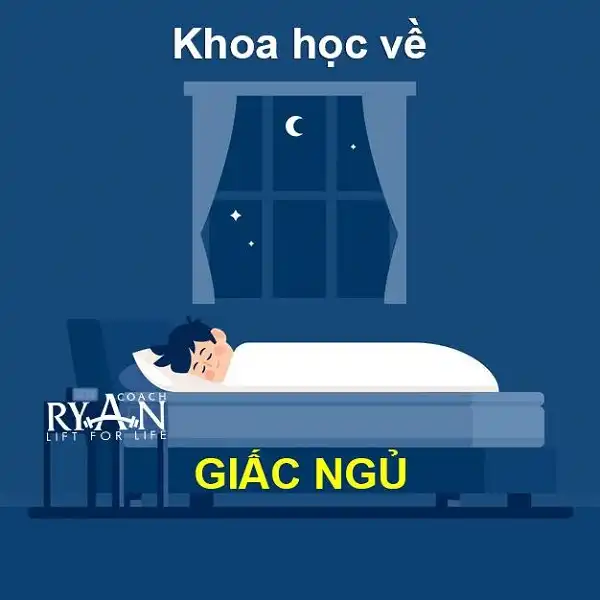 Khoa học về giấc ngủ không phải ai cũng biết Khoa học về giấc ngủ không phải ai cũng biết