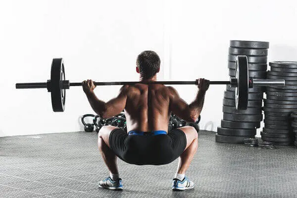 Cơ mông là phân cơ khỏe nhất nên rất có lợi dùng vào Squat Cơ mông là phân cơ khỏe nhất nên rất có lợi dùng vào Squat