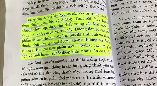 Không nên cắt hoàn toàn Carbs để giảm cân Không nên cắt hoàn toàn Carbs để giảm cân