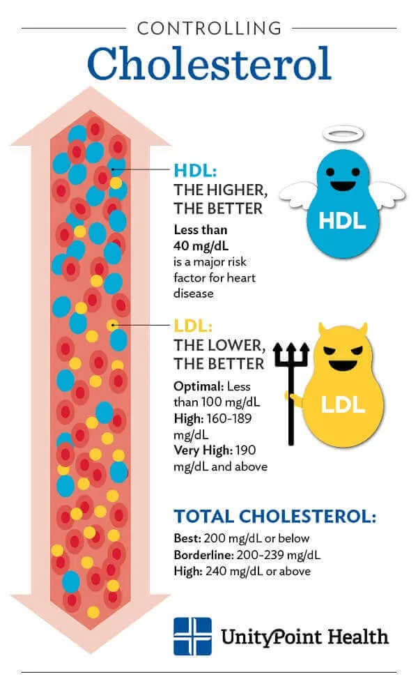 Kiểm soát tốt Cholesterol sẽ có lợi cho cơ thể Kiểm soát tốt Cholesterol sẽ có lợi cho cơ thể