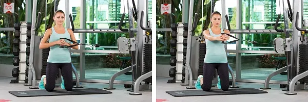 Bài tập Kneeling Cable Anti-rotation Bài tập Kneeling Cable Anti-rotation