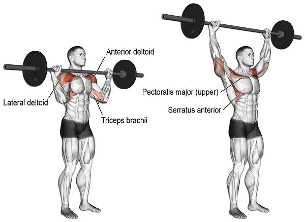 Kỹ thuật tập Barbell Overhead Press Kỹ thuật tập Barbell Overhead Press