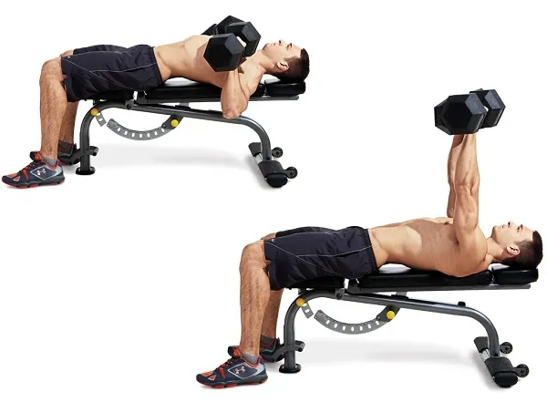 Kỹ thuật Dumbbell Chest Press dòm dễ nhưng khó tập đúng