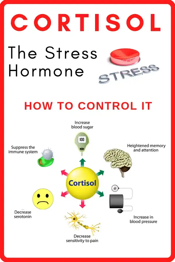 Làm chủ Cortisol để kiểm soát cuộc chơi xây dựng cơ bắp Làm chủ Cortisol để kiểm soát cuộc chơi xây dựng cơ bắp