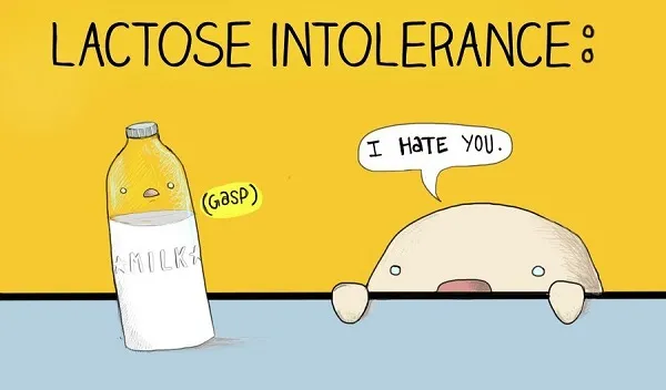 Làm sao để tăng cân khi cơ thể không dung nạp Lactose Làm sao để tăng cân khi cơ thể không dung nạp Lactose