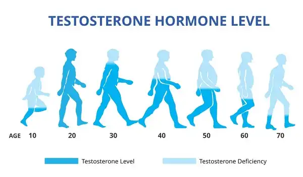 Làm sao để tăng lượng Testosterone là câu hỏi dư thừa