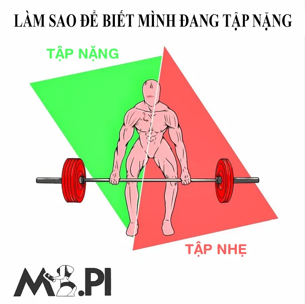 Làm thế nào để biết mình đang tập nặng Làm thế nào để biết mình đang tập nặng