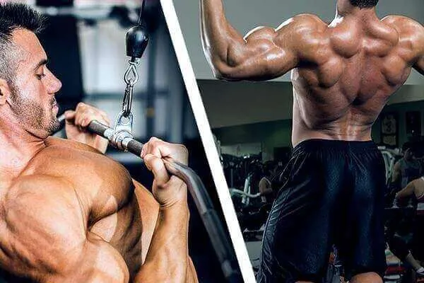 Lat Pull-down và Pull-up khác nhau cái gì Lat Pull-down và Pull-up khác nhau cái gì
