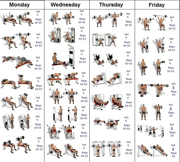 Lịch tập và chế độ ăn có sẵn chưa chắc phù hợp với bạn Lịch tập và chế độ ăn có sẵn chưa chắc phù hợp với bạn