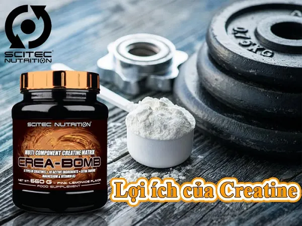 Lợi ích của Creatine với người tập luyện gym thể hình Lợi ích của Creatine với người tập luyện gym thể hình