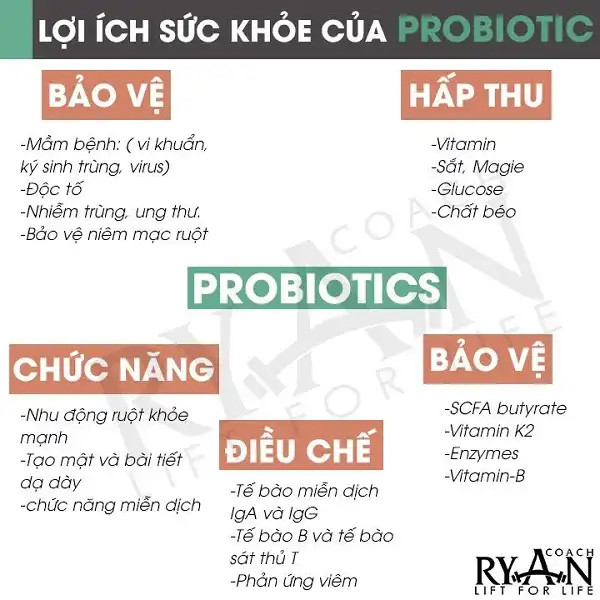 Lợi ích của Probiotics với đường tiêu hóa và hệ miễn dịch Lợi ích của Probiotics với đường tiêu hóa và hệ miễn dịch