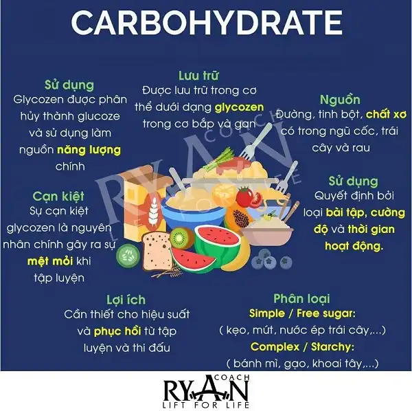 Lợi ích của tinh bột trong bữa ăn hàng ngày Lợi ích của tinh bột trong bữa ăn hàng ngày