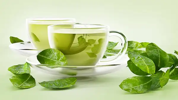Lợi ích của trà xanh đối với sức khỏe Lợi ích của trà xanh đối với sức khỏe