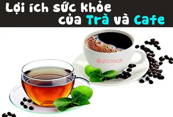 Lợi ích sức khoẻ của trà và cafe