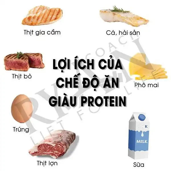 Lợi ích từ chế độ ăn giàu Protein Lợi ích từ chế độ ăn giàu Protein