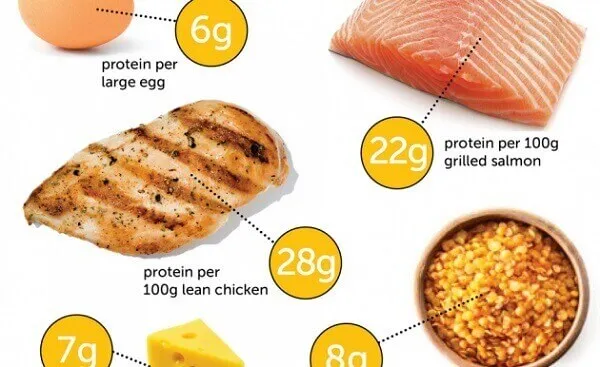 Lượng Protein trong vài món ăn