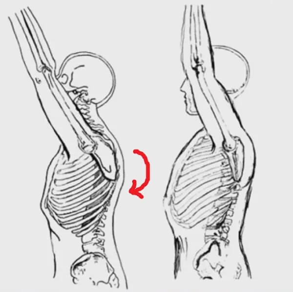 Mất linh hoạt do mất cân bằng cơ