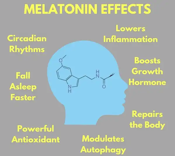 Melatonin giúp bạn ngủ ngon hơn Melatonin giúp bạn ngủ ngon hơn