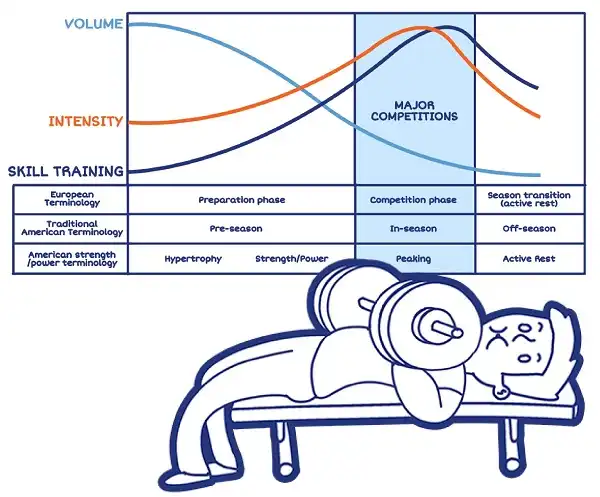 Minh họa Periodization đơn giản dễ hiểu